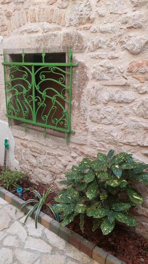 Studio With Garden In Rovinj Bagian luar foto